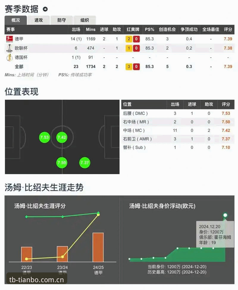 天博体育官网全面解析：天博游戏平台的专业赛事数据与用户体验深度分析